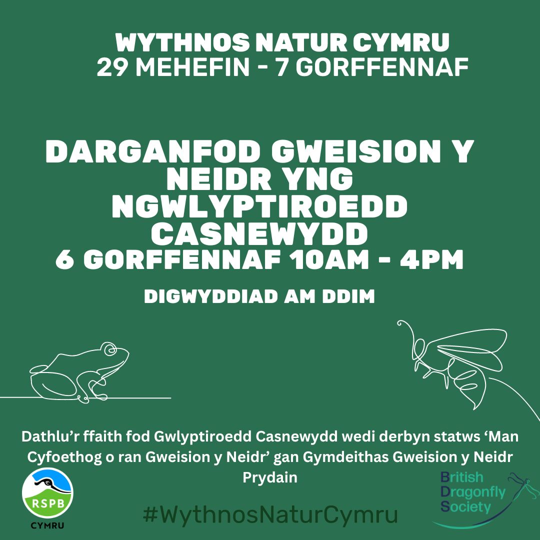 Darganfod Gweision y Neidr yng Ngwlyptiroedd Casnewydd